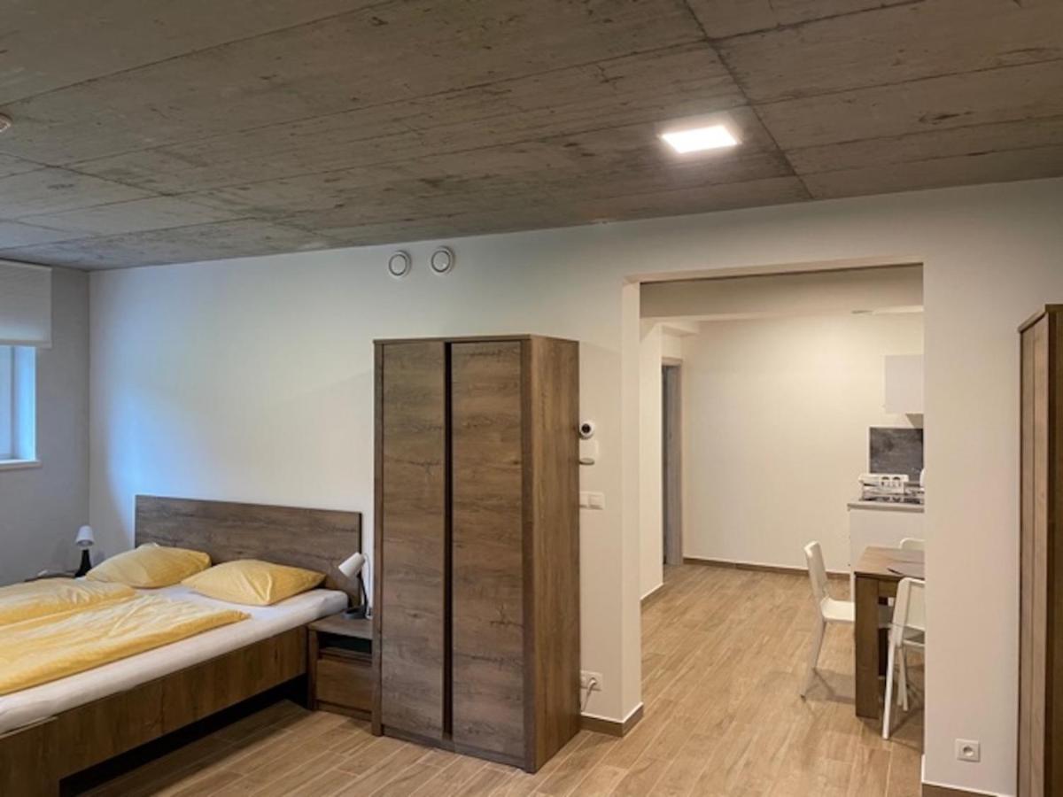 Apartmany Bila Nisa Bedřichov Buitenkant foto